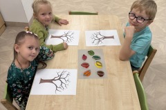 IMG_2331 IMG_2331