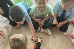 ecd9f965-5801-4583-8930-8de1114ba9fe1