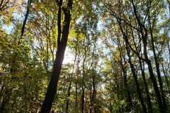 IMG-20251023-WA0053 IMG-20251023-WA0053
