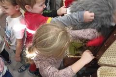 IMG_20231211_102046-Copy