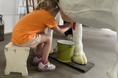 IMG_5419