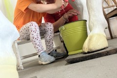 IMG_5430