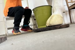 IMG_5431