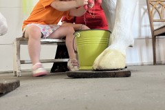 IMG_5441