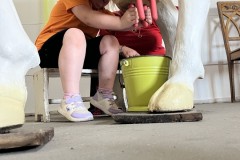 IMG_5442
