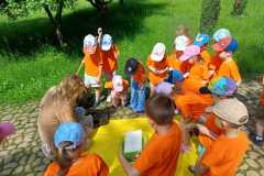 IMG-20260602-WA0020