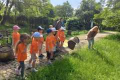IMG-20260602-WA0024