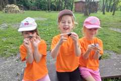 IMG-20260602-WA0028