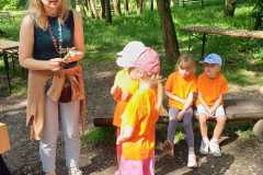 IMG-20260602-WA0032