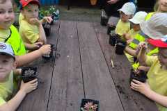IMG-20260608-WA0050