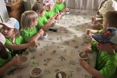 IMG-20260609-WA0003