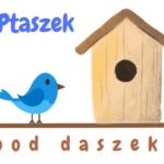 Projekt „Ptaszek pod daszek”