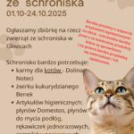 Szkolne Koło Wolontariatu organizuje zbiórkę dla kotów ze schroniska w Gliwicach!