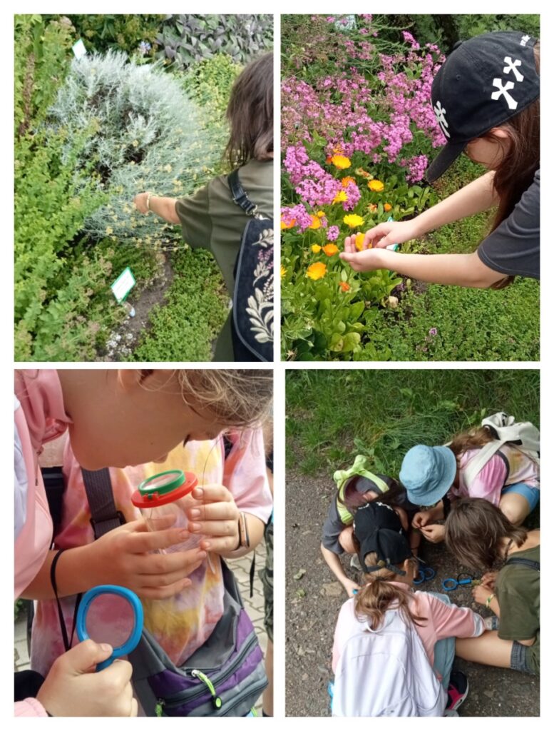 klasa 4c odwiedziła wyjątkowe miejsce – Ogród Botaniczny na Księżej Górze klasa 4c odwiedziła wyjątkowe miejsce – Ogród Botaniczny na Księżej Górze