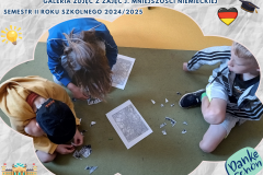 37_20250616_194306_0036