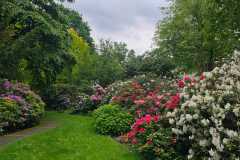 IMG-20260602-WA0057