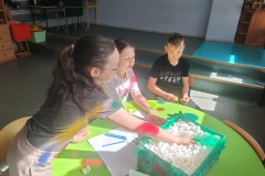 IMG_20260505_095153