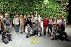 21131887-0983-455d-ab9f-a5b061f860d5-Copy