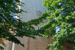 IMG_20250521_102330338_HDR