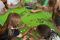 IMG-20250430-WA0038