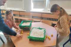 fe94e7f2-24aa-489d-9d6d-a4f0d76618ed